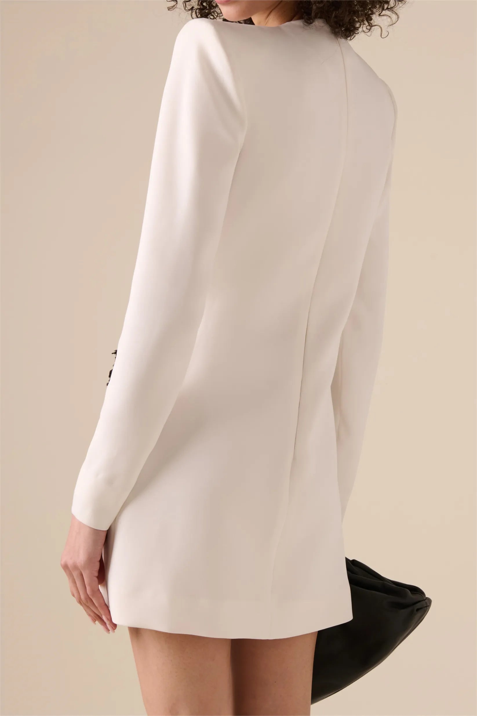 3D Floral Embroidered Long Sleeve Mini Dress
